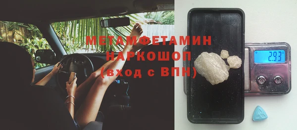 индика Балабаново