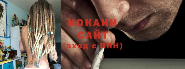 индика Балабаново