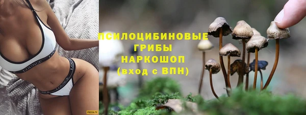 стаф Балахна