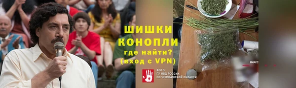 стаф Балахна