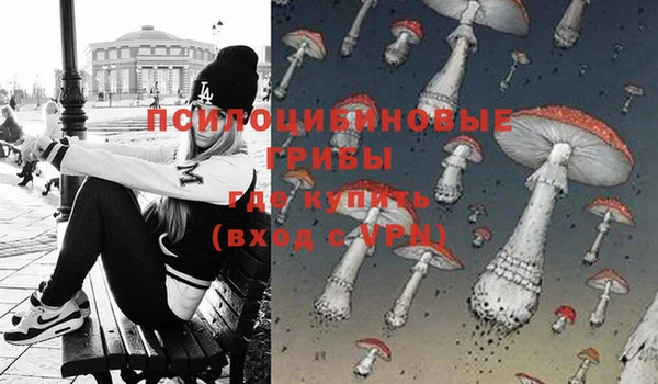 индика Балабаново