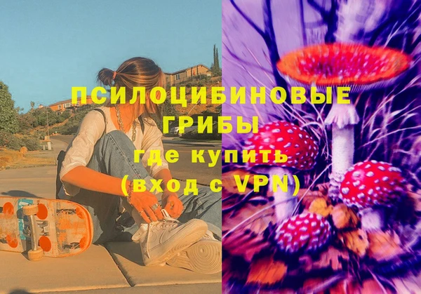 индика Балабаново