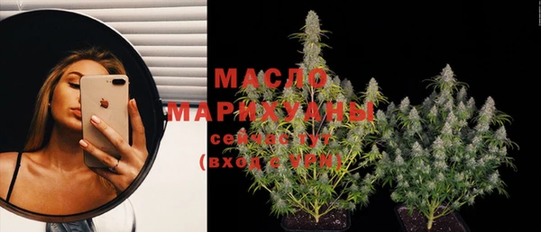 индика Балабаново