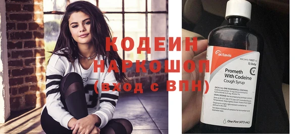 индика Балабаново
