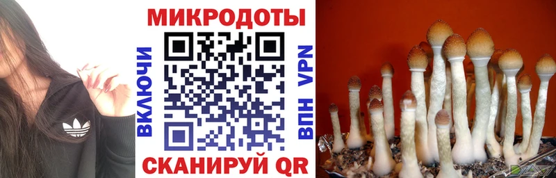 Псилоцибиновые грибы GOLDEN TEACHER  Серов 